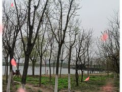 -东丽湖风景区