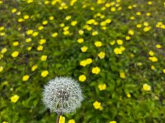 -帽儿山国家森林公园