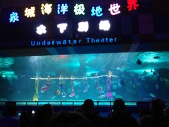 -泉城欧乐堡海洋极地世界