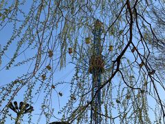 -哈尔滨文化公园