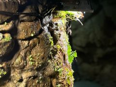 -英西峰林九重天景区
