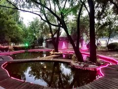-枫花园汽车电影院(朝阳公园店)