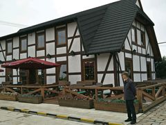 -金山农民画村-枫泾波兰倒置屋