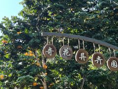 -中国科学院西双版纳热带植物园