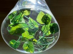 -森味花园·日本料理(伊藤洋华堂亚运村店)