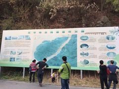 -羚羊峡古栈道森林公园
