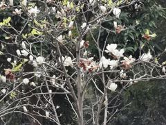 -云溪植物园