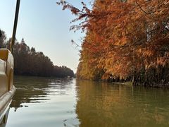 -上海海湾国家森林公园