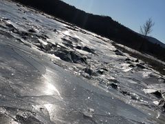 -金刚山烧烤(红旗大街店)