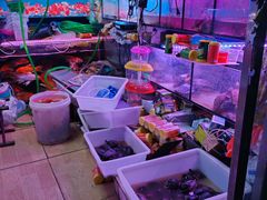 -花鸟鱼虫鲜花绿植市场(玉泉路店)