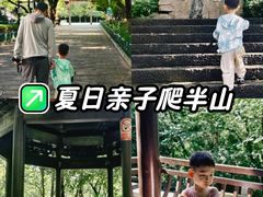 -杭州半山国家森林公园