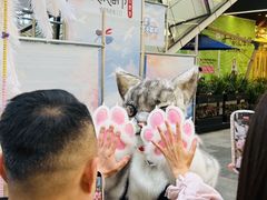-中贸广场