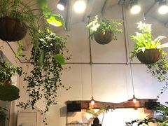 -植觉
