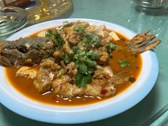 -煲来饱去冷水鱼