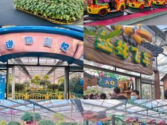-南宫五洲植物乐园