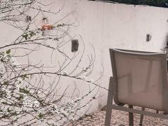 -爪吧宠物乐园 (温榆河示范区店)