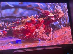 -星光摄影器材城