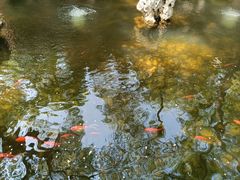 -恭王府博物馆