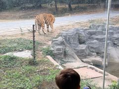 -深圳野生动物园