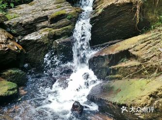 虽然天气爆热，但也不能阻止想要去郊游野餐的心