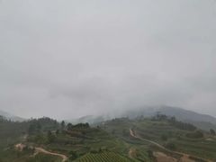 -军营村