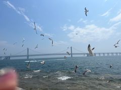 -星海广场