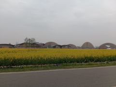 -中国天府农业博览园