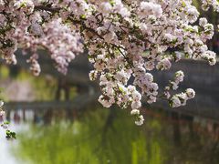 -海棠花溪(元大都城垣遗址公园)