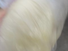 -洪记江鹰包行总店