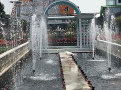 -百万葵园