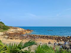 -广东惠东海龟国家级自然保护区