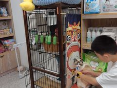 -四月宠物医院·猫专科·心脏专科·内科(转塘店)