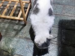 -象山村腊排骨(丽江总店)