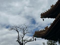 -雍和宫