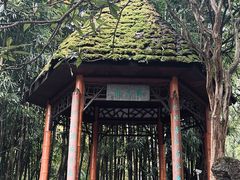 -望江楼公园