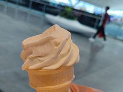 -麦当劳(深圳北站高铁店)