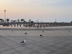 -东港音乐喷泉广场