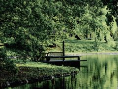 -上海共青森林公园