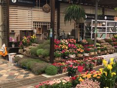 -秦美花卉(天朗·莱茵小城2期店)