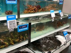 -盒马鲜生(大成店)