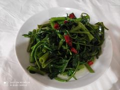 -明升萝卜汤