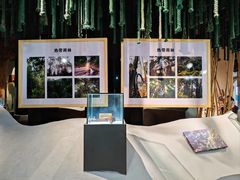 -西双版纳原始森林公园
