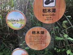 -桤木河湿地公园