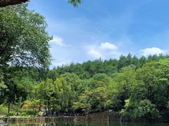 -韶山毛泽东同志故居