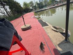 -会江钓鱼钓虾烧烤场