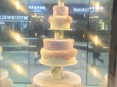 -麦雪尔甜品·生日蛋糕(新街口旗舰店)