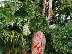 -三亚珠江南田温泉度假区