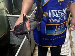 -大理.老字号渝记酸萝卜乌鱼(古城总店)