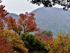 -塔川景区