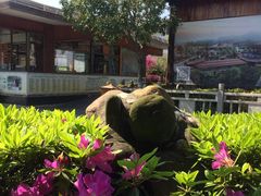 -庐山天沐温泉度假村